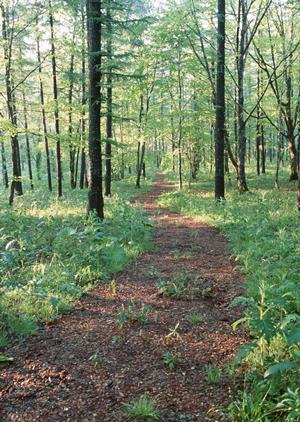 初めてでも受診しやすい大宮の心療内科