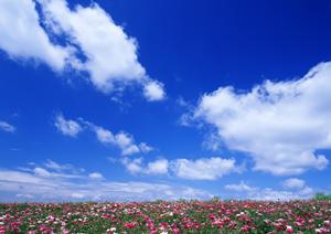 コミュニケーション方法を研修で学べます